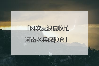 风吹麦浪夏收忙 河南老兵保粮仓