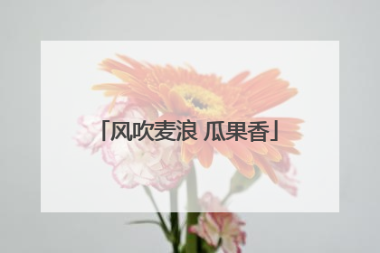风吹麦浪 瓜果香