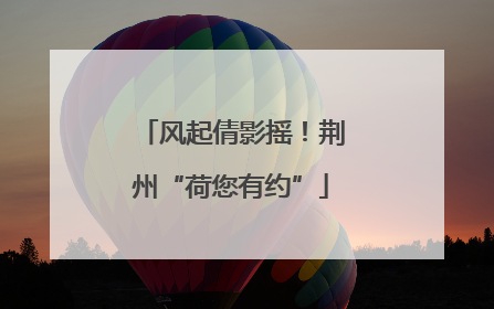 风起倩影摇！荆州“荷您有约”