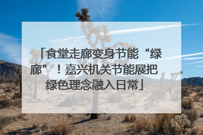 食堂走廊变身节能“绿廊”！嘉兴机关节能展把绿色理念融入日常