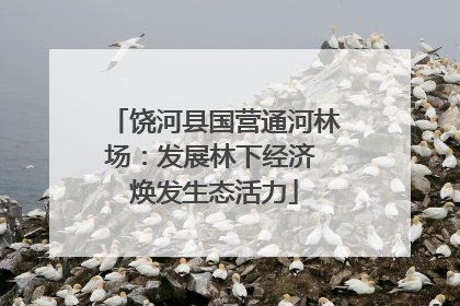 饶河县国营通河林场：发展林下经济 焕发生态活力