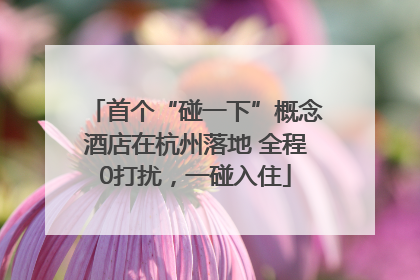首个“碰一下”概念酒店在杭州落地 全程0打扰，一碰入住