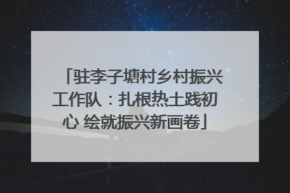 驻李子塘村乡村振兴工作队：扎根热土践初心 绘就振兴新画卷