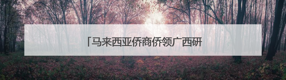 马来西亚侨商侨领广西研修 学中医看非遗谋发展
