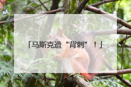 马斯克遭“背刺”！
