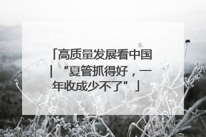 高质量发展看中国｜“夏管抓得好，一年收成少不了”