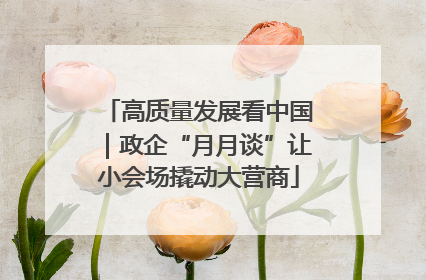 高质量发展看中国｜政企“月月谈”让小会场撬动大营商