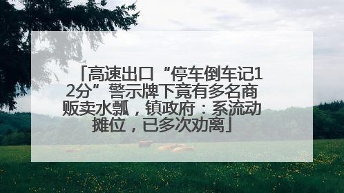高速出口“停车倒车记12分”警示牌下竟有多名商贩卖水瓢，镇政府：系流动摊位，已多次劝离