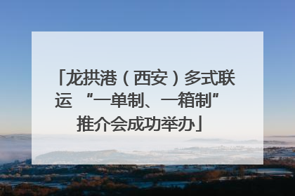 龙拱港（西安）多式联运 “一单制、一箱制” 推介会成功举办