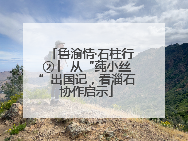 鲁渝情·石柱行② ︳从“莼小丝”出国记，看淄石协作启示