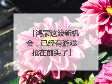 鸿蒙这波新机会，已经有游戏抢在前头了
