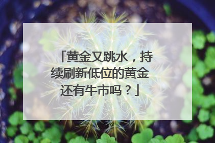 黄金又跳水，持续刷新低位的黄金还有牛市吗？