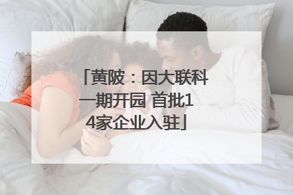 黄陂：因大联科一期开园 首批14家企业入驻