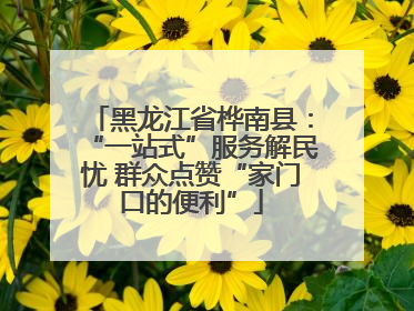 黑龙江省桦南县：“一站式”服务解民忧 群众点赞“家门口的便利”