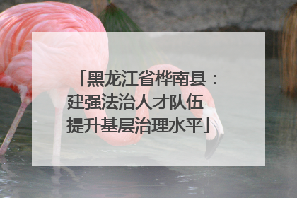 黑龙江省桦南县：建强法治人才队伍 提升基层治理水平