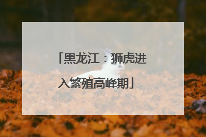 黑龙江：狮虎进入繁殖高峰期