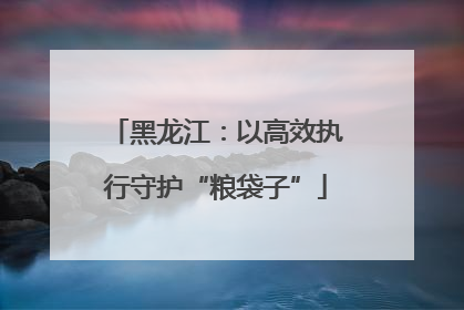黑龙江：以高效执行守护“粮袋子”