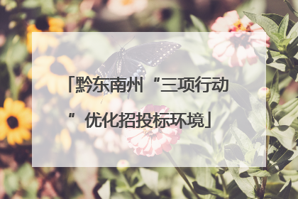 黔东南州“三项行动”优化招投标环境