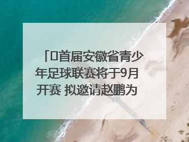 ﻿首届安徽省青少年足球联赛将于9月开赛 拟邀请赵鹏为先导赛开球