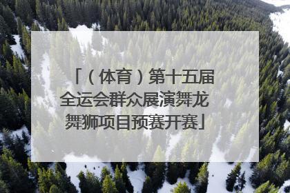 （体育）第十五届全运会群众展演舞龙舞狮项目预赛开赛