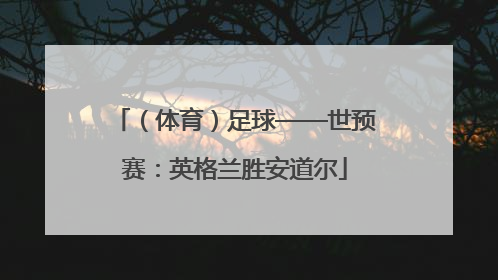 （体育）足球——世预赛：英格兰胜安道尔