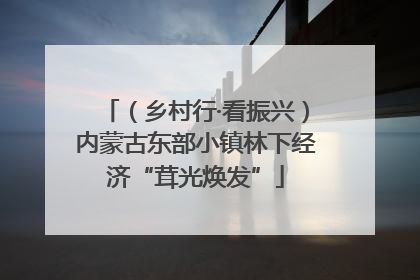 （乡村行·看振兴）内蒙古东部小镇林下经济“茸光焕发”