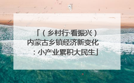 （乡村行·看振兴）内蒙古乡镇经济新变化：小产业累积大民生