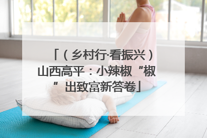 （乡村行·看振兴）山西高平：小辣椒“椒”出致富新答卷