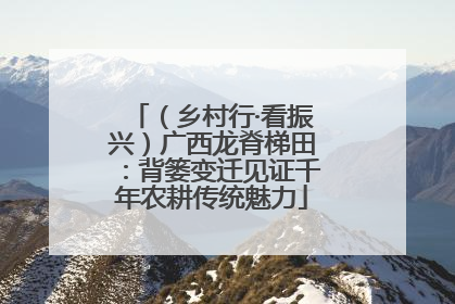 （乡村行·看振兴）广西龙脊梯田：背篓变迁见证千年农耕传统魅力