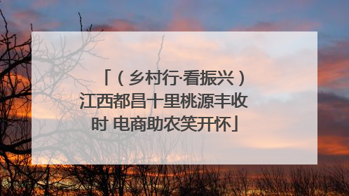 （乡村行·看振兴）江西都昌十里桃源丰收时 电商助农笑开怀