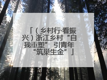 （乡村行·看振兴）浙江乡村“自我重塑” 引青年“筑巢生金”