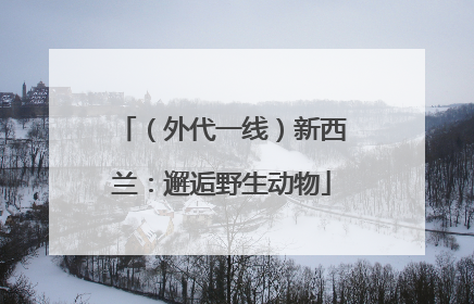 （外代一线）新西兰：邂逅野生动物