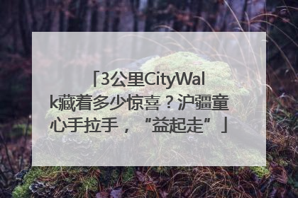 3公里CityWalk藏着多少惊喜？沪疆童心手拉手，“益起走”