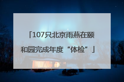 107只北京雨燕在颐和园完成年度“体检”