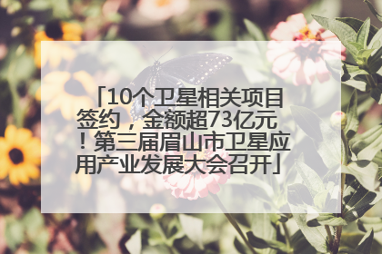 10个卫星相关项目签约，金额超73亿元！第三届眉山市卫星应用产业发展大会召开