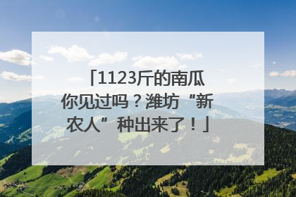1123斤的南瓜你见过吗？潍坊“新农人”种出来了！