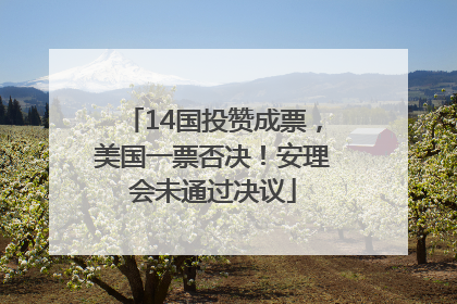 14国投赞成票，美国一票否决！安理会未通过决议