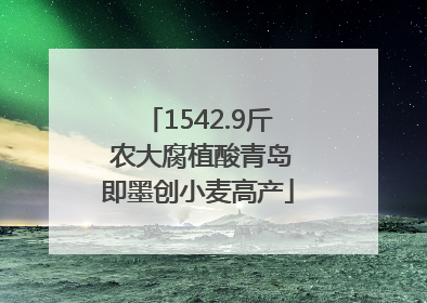 1542.9斤 农大腐植酸青岛即墨创小麦高产