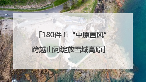 180件！“中原画风”跨越山河绽放雪域高原