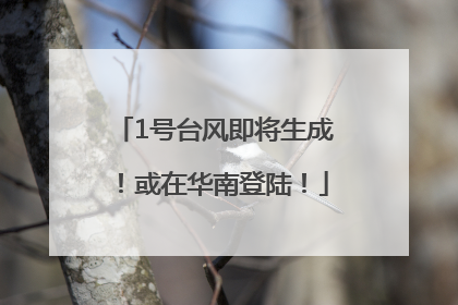 1号台风即将生成！或在华南登陆！