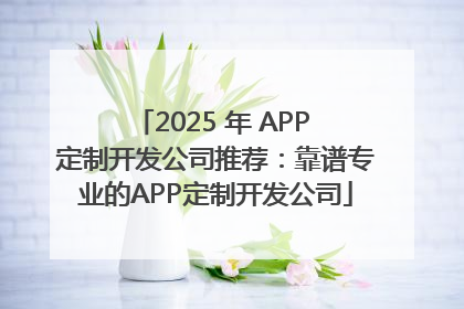 2025 年 APP 定制开发公司推荐：靠谱专业的APP定制开发公司