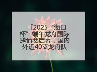 2025“海口杯”端午龙舟国际邀请赛启幕，国内外近40支龙舟队竞逐海甸溪