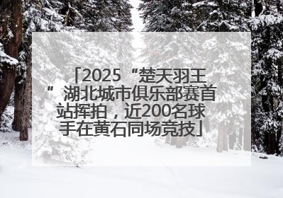 2025“楚天羽王”湖北城市俱乐部赛首站挥拍，近200名球手在黄石同场竞技