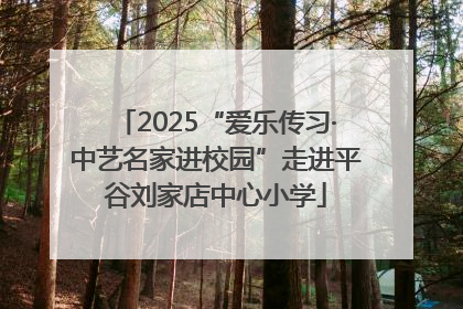 2025“爱乐传习·中艺名家进校园”走进平谷刘家店中心小学