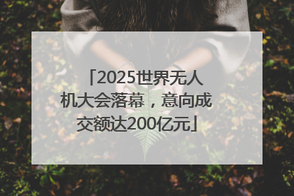 2025世界无人机大会落幕，意向成交额达200亿元