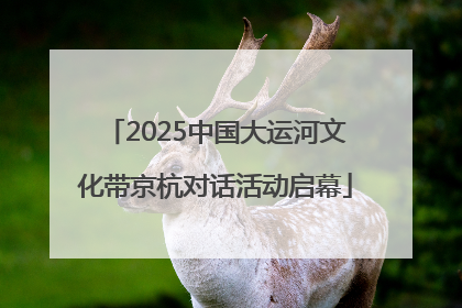2025中国大运河文化带京杭对话活动启幕