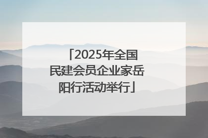 2025年全国民建会员企业家岳阳行活动举行