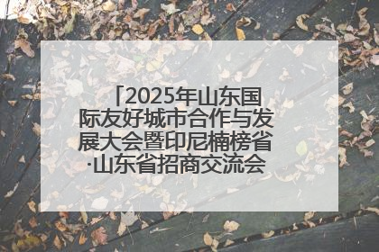2025年山东国际友好城市合作与发展大会暨印尼楠榜省·山东省招商交流会在济南槐荫举行