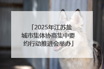 2025年江苏盐城市集体协商集中要约行动推进会举办