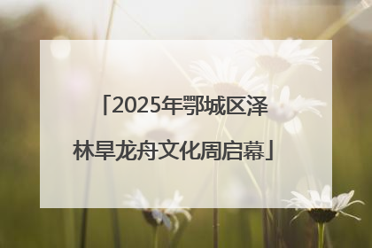 2025年鄂城区泽林旱龙舟文化周启幕